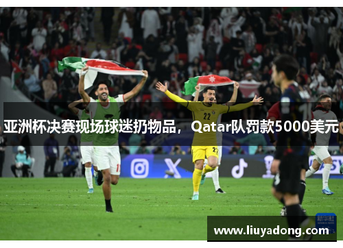 亚洲杯决赛现场球迷扔物品，Qatar队罚款5000美元